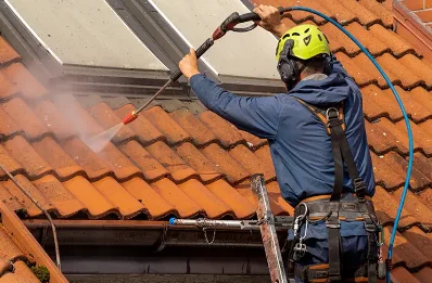 Démoussage et hydrofuge de toiture à Neyron